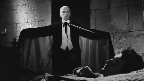 Drakula İstanbul'da Bild 2