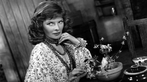 The Little Minister Bild 2