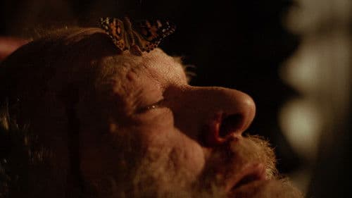 Os Terríveis Bild 2