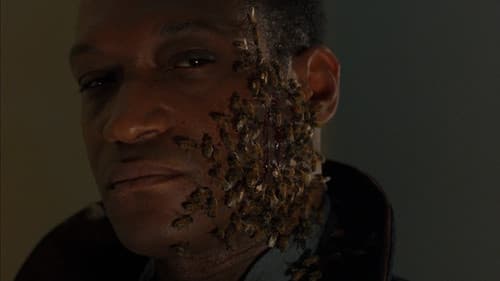Candyman 3 - Der Tag der Toten Bild 2