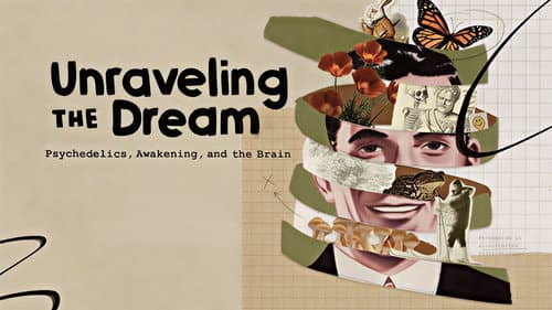 Unraveling the Dream Bild 1