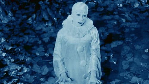 Rabbit's Moon Bild 1