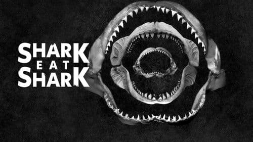 Hai frisst Hai Bild 3