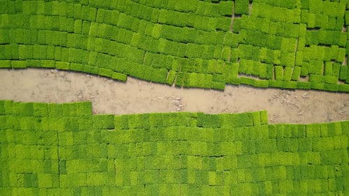 물의 기억 Bild 1