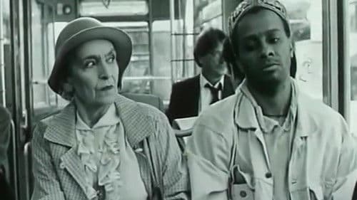 Schwarzfahrer Bild 2