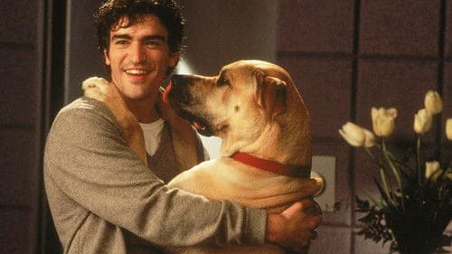 Lügen haben lange Beine Bild 4