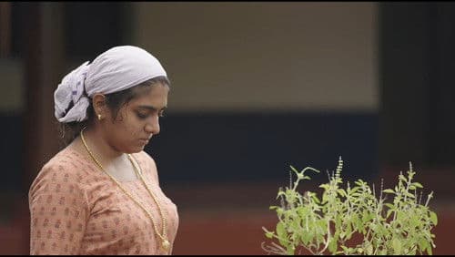 മഹത്തായ ഭാരതീയ അടുക്കള Bild 2