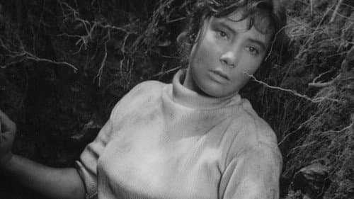 Нет смерти для меня Bild 1