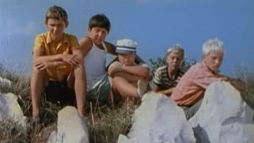 Bratovščina Sinjega galeba Bild 1