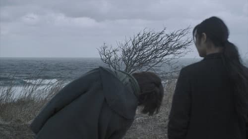 ペタル ダンス Bild 6