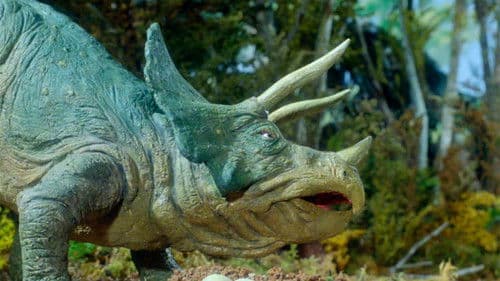 64,000,000 Years Ago Bild 1