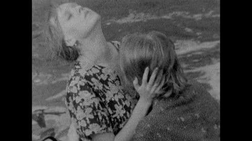 Moonlight People Bild 1