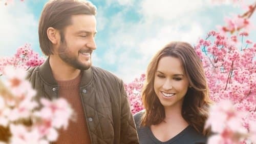 Sweet Carolina Bild 1