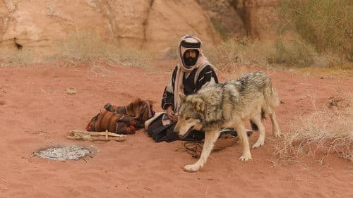 بين الرمال Bild 1