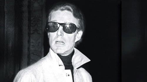 Ultrasuede: In Search of Halston Bild 1