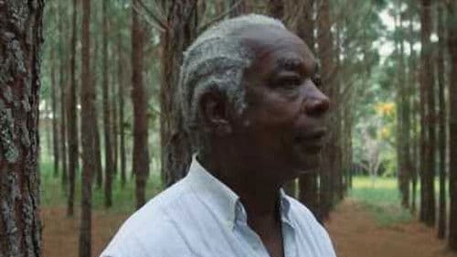 Aleluia, o Canto Infinito do Tincoã Bild 1