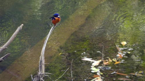 Extraordinary Australia Bild 3