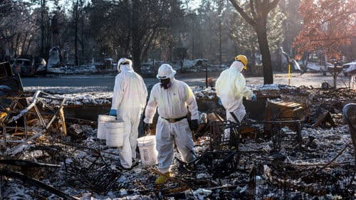 Fire in Paradise Bild 4