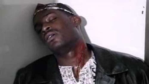 Holla If I Kill You Bild 1