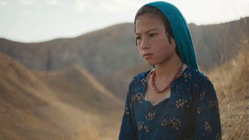 Wolf and Sheep Bild 2