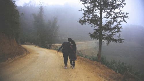 Những đứa trẻ trong sương Bild 2