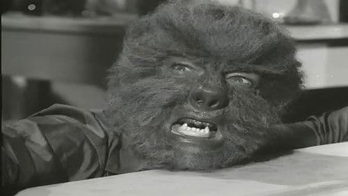 La Casa Del Terror Bild 1