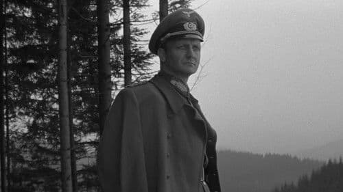 Бой после победы Bild 2