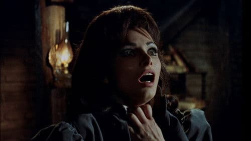 Die Mühle der versteinerten Frauen Bild 1