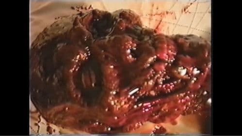 Death Metal Zombies Bild 2