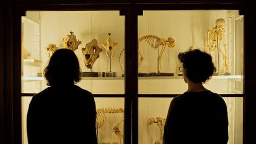 Rosinha e Outros Bichos do Mato Bild 2