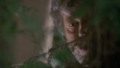 Fear Runs Silent Bild 4