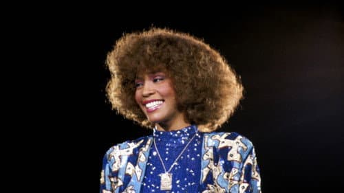 Whitney - Die wahre Geschichte einer Legende Bild 5