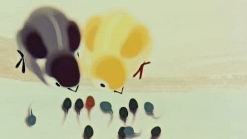 小蝌蚪找妈妈 Bild 1