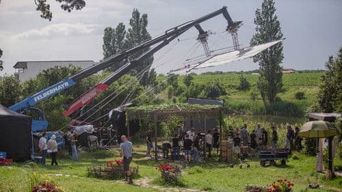 Cravata galbenă Bild 6