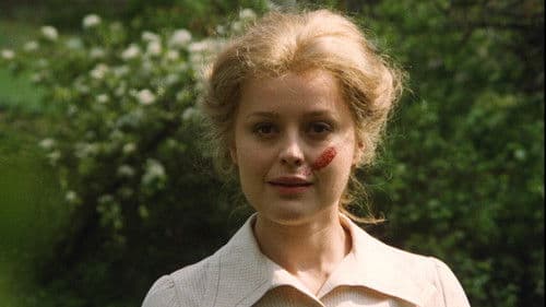 Kurzgeschnitten Bild 5