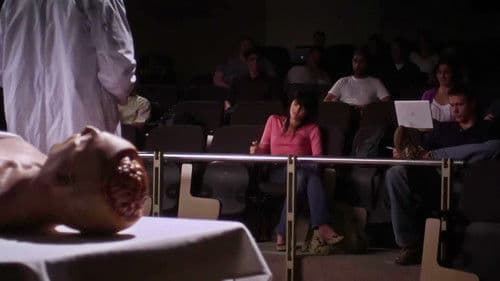 Frankenstein Corpses Bild 1