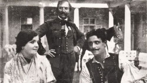 Sárga csikó Bild 1