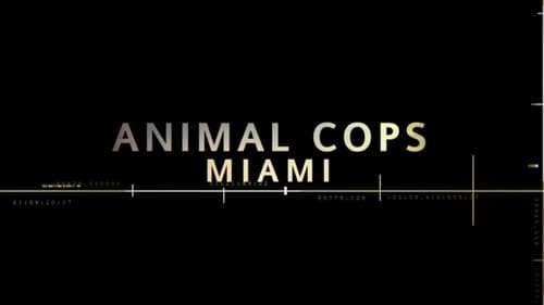 Animal Cops: Miami Bild 1