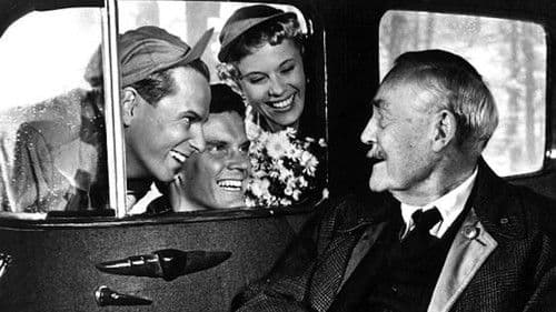 Wilde Erdbeeren Bild 5