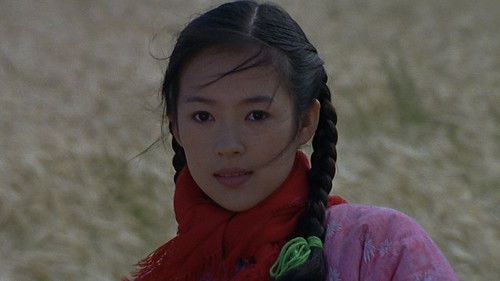 Heimweg - The Road Home Bild 2