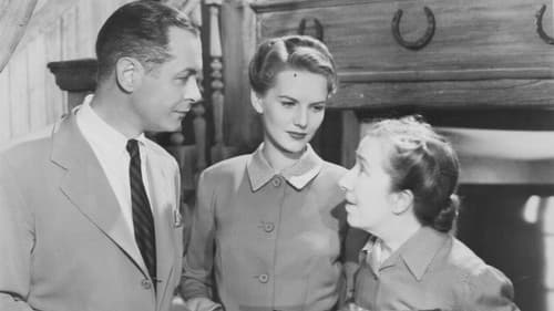 Die unbekannte Zeugin Bild 1