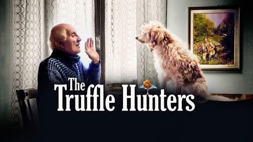 The Truffle Hunters Bild 1