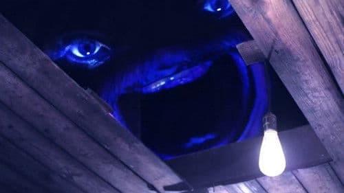 Couple In The Woods Bild 6