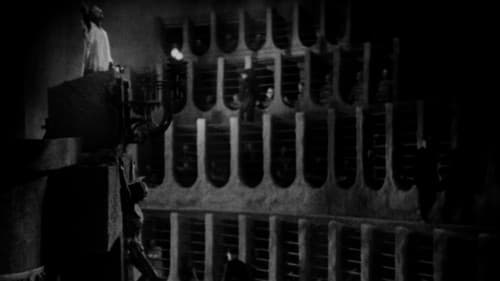 Кришталевий палац Bild 4