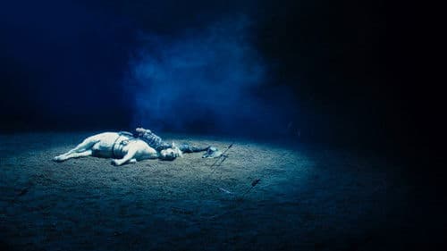 To Kill a Mongolian Horse Bild 6