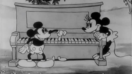 Micky's Transportservice Bild 1