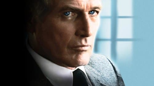 The Verdict - Die Wahrheit und nichts als die Wahrheit Bild 1