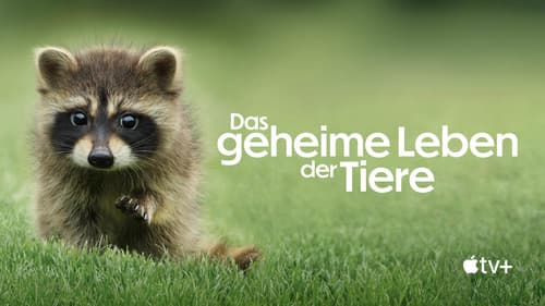 Das geheime Leben der Tiere Bild 4