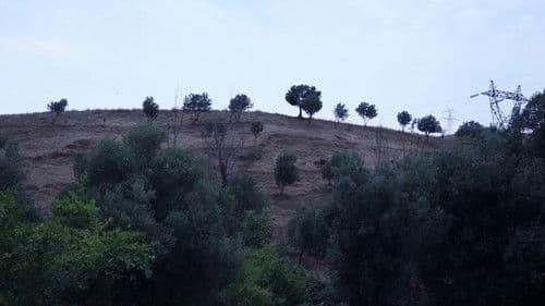 و کیارستمی ادامه دارد Bild 1
