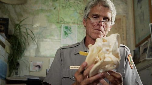 Die Heimkehr der Wölfe Bild 2